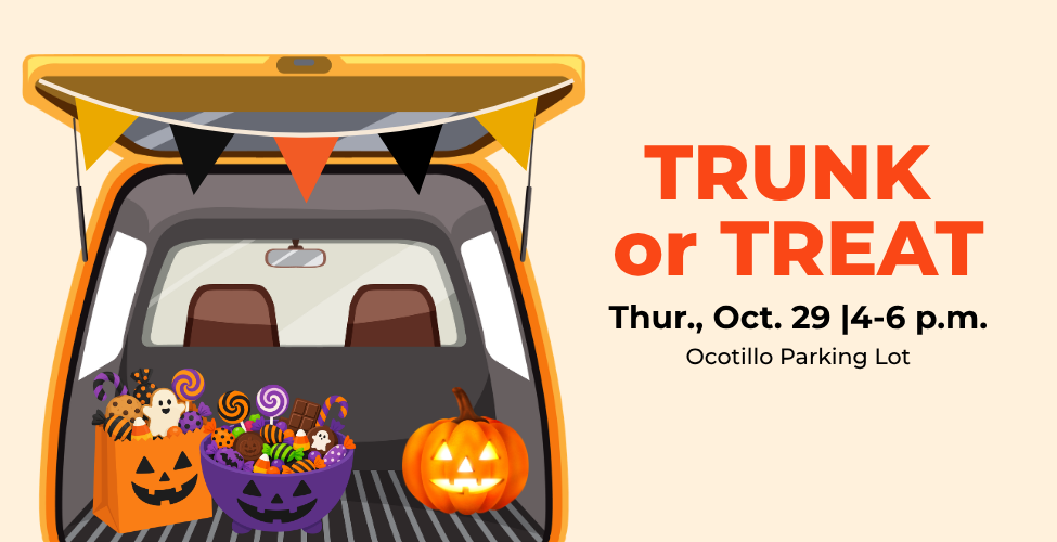 An open vehicle trunk with candy and pumpkins inside.