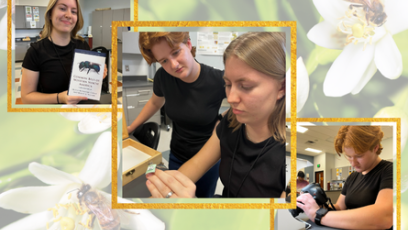 EMCC Bee Survey