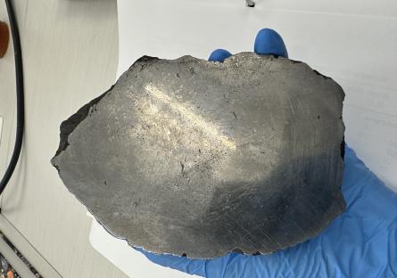 Specimen 2
