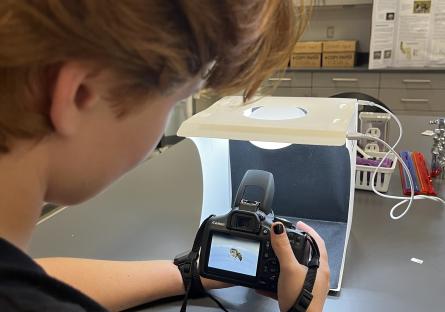 Arella Clark photographs bee