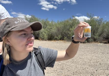 Alex Sweet proudly displays bee samples