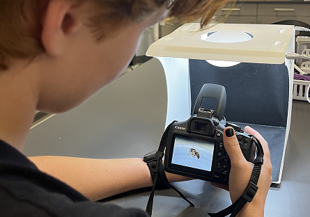 Arella using a camera to take a picture of bee.