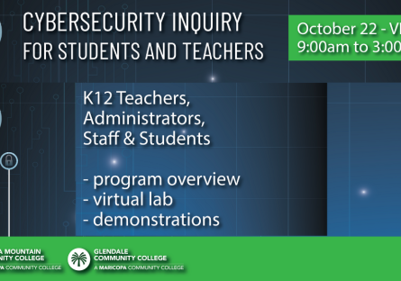 Cybersecurity Inquiry Image