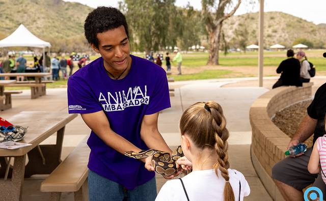 Animal Ambassadors holds snake with student.