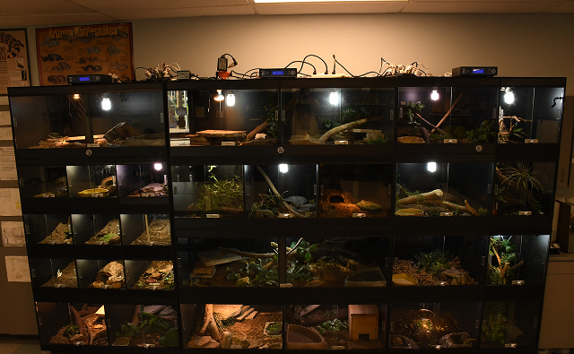 Inside the Animal Ambassadors  Lab